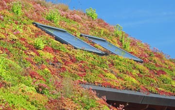 Cotwall living roof systems